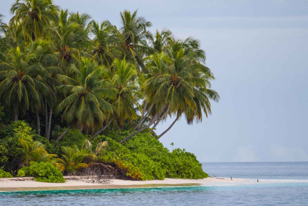 Global Surf Maldives
